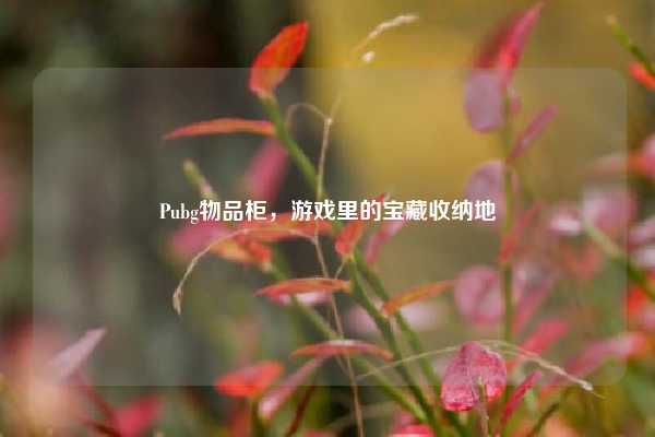 Pubg物品柜，游戏里的宝藏收纳地