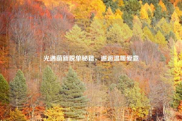 光遇萌新脱单秘籍,邂逅温暖爱意