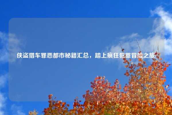 侠盗猎车罪恶都市秘籍汇总,踏上疯狂犯罪冒险之旅