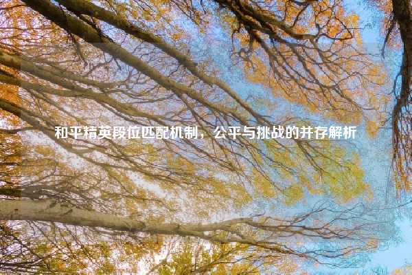 和平精英段位匹配机制，公平与挑战的并存解析