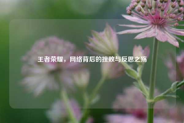 王者荣耀，网络背后的挫败与反思之殇