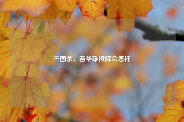 三国杀,若华雄投降会怎样