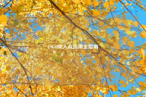 CSGO突入点运用全指南