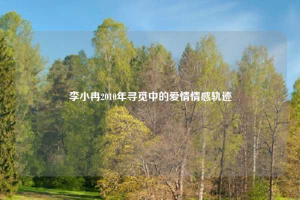 李小冉2010年寻觅中的爱情情感轨迹