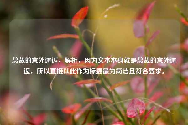 总裁的意外邂逅，解析，因为文本本身就是总裁的意外邂逅，所以直接以此作为标题最为简洁且符合要求。