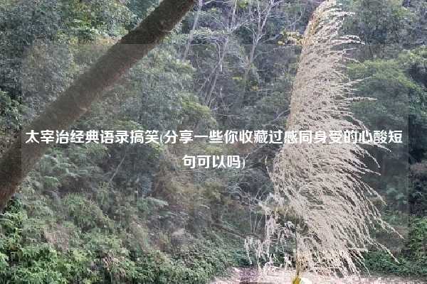 太宰治经典语录搞笑(分享一些你收藏过感同身受的心酸短句可以吗)
