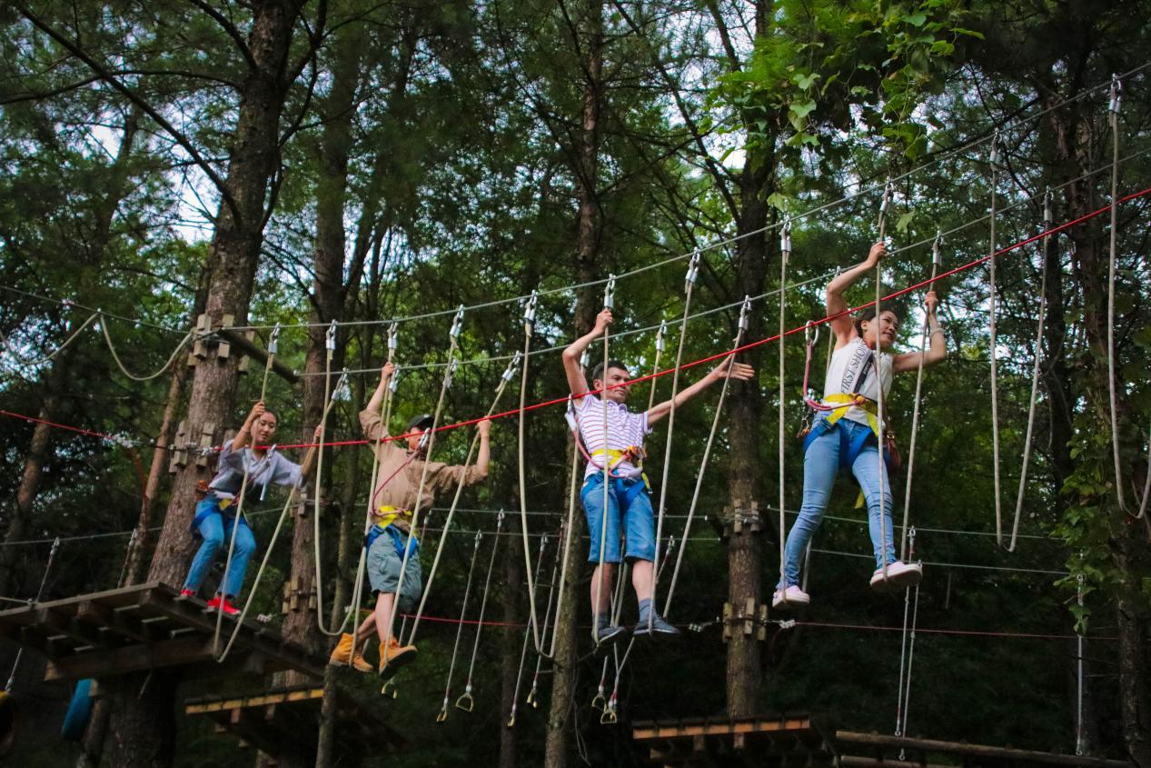 伤感短句子十字以内不是爱情(大家身边有没有突然失联的朋友)