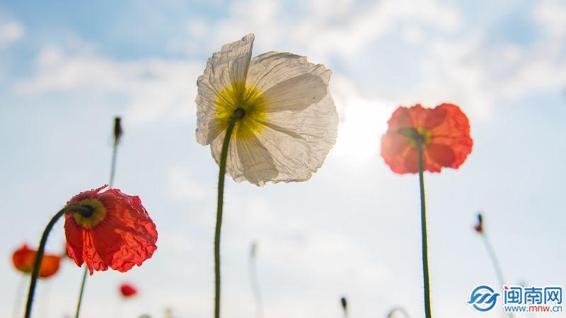 搞笑幽默文案(反诈朋友圈文案搞笑)