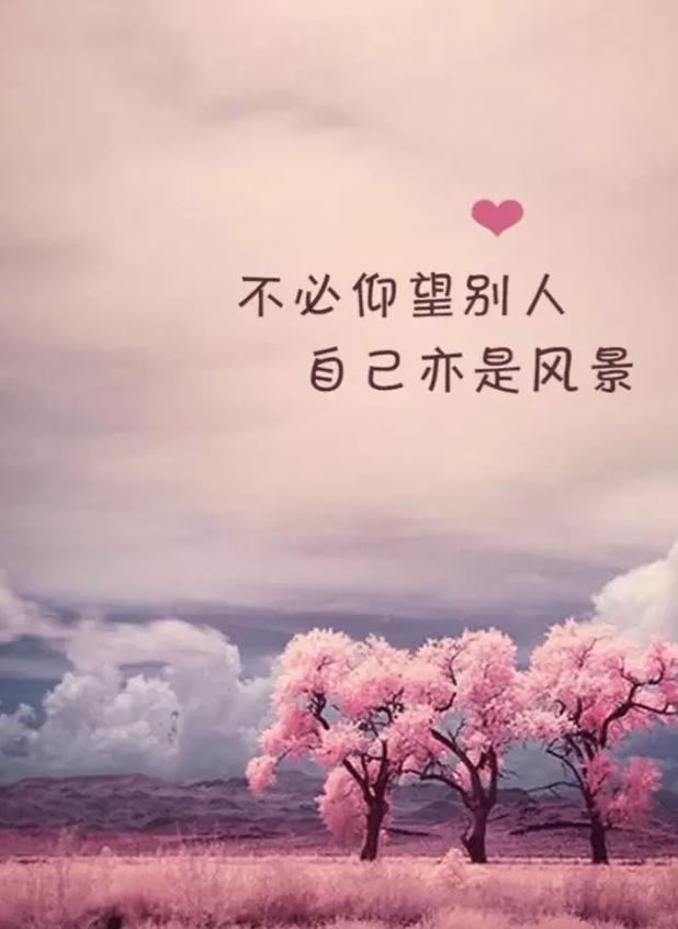 语录伤感(男女情感语录口述伤感)