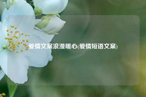 爱情文案浪漫暖心(爱情短语文案)