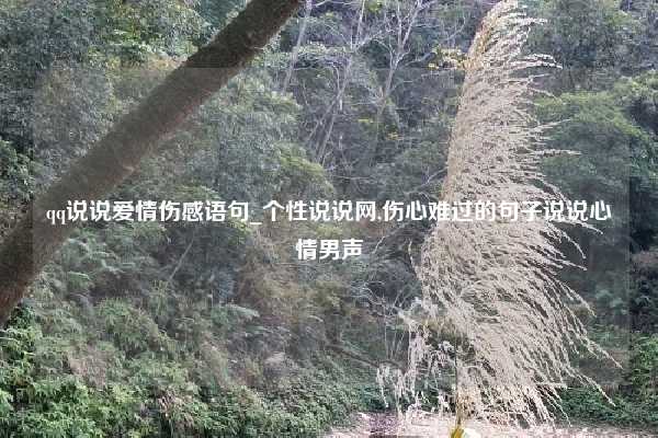 qq说说爱情伤感语句_个性说说网,伤心难过的句子说说心情男声