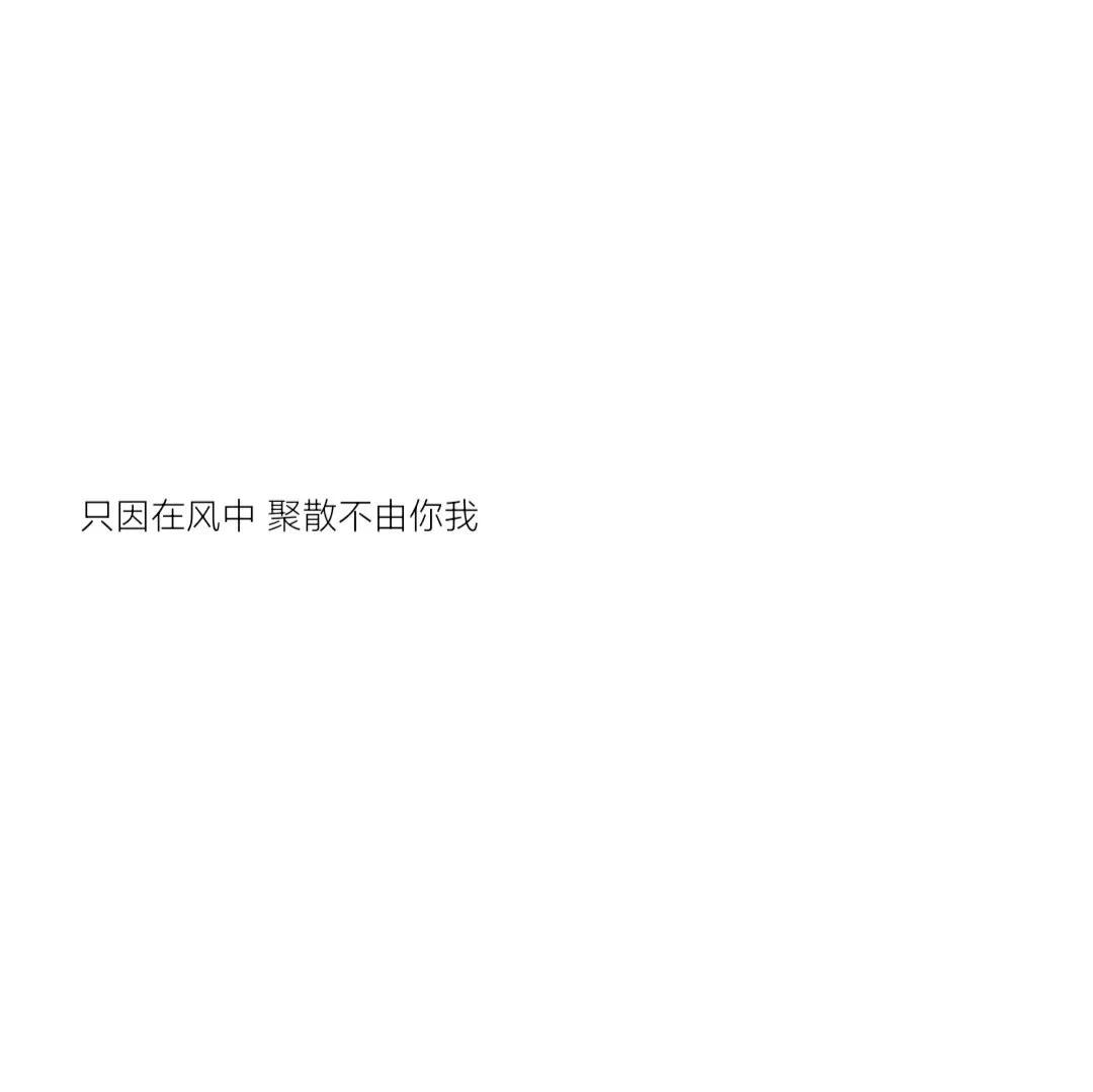 爱情文案素材(暖心爱情文案)