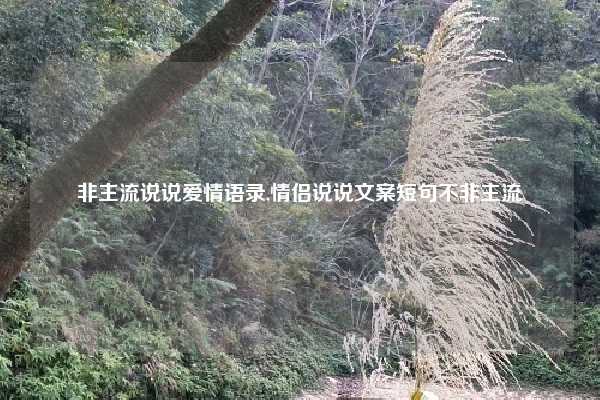 非主流说说爱情语录,情侣说说文案短句不非主流