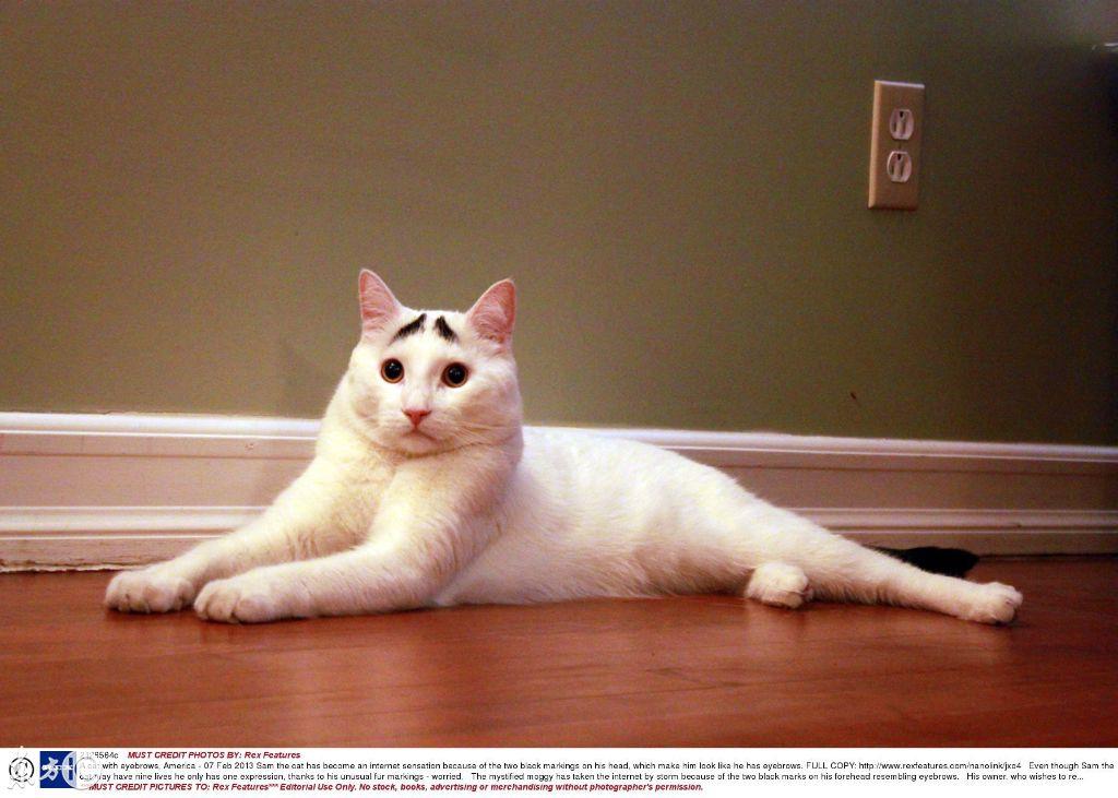 伤感短句八字以内(射手座是一个怎样的星座)