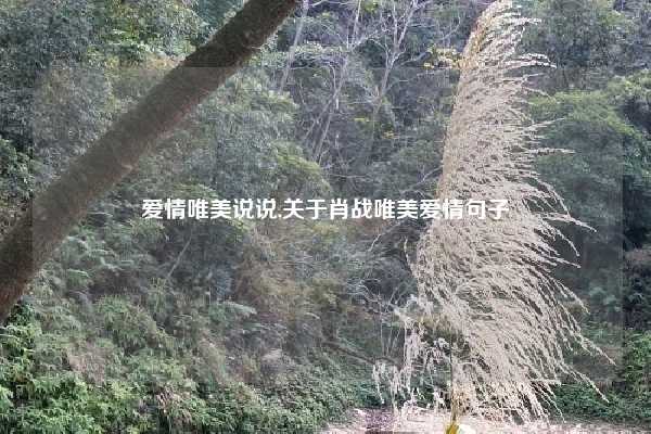 爱情唯美说说,关于肖战唯美爱情句子