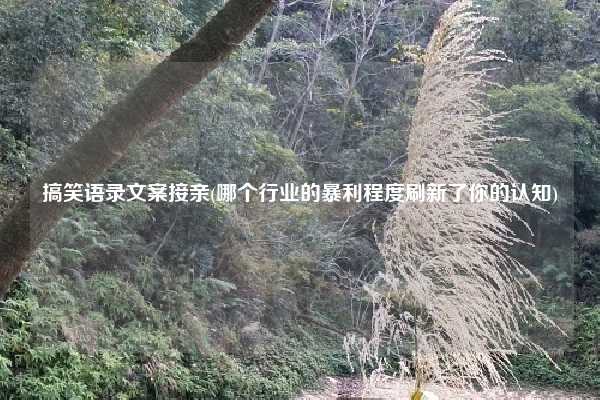 搞笑语录文案接亲(哪个行业的暴利程度刷新了你的认知)