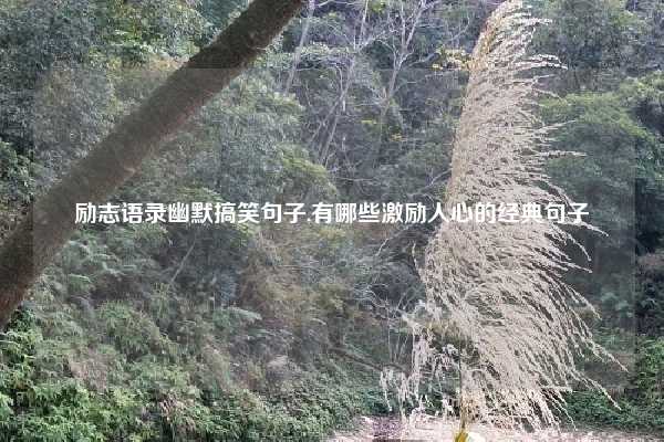 励志语录幽默搞笑句子,有哪些激励人心的经典句子