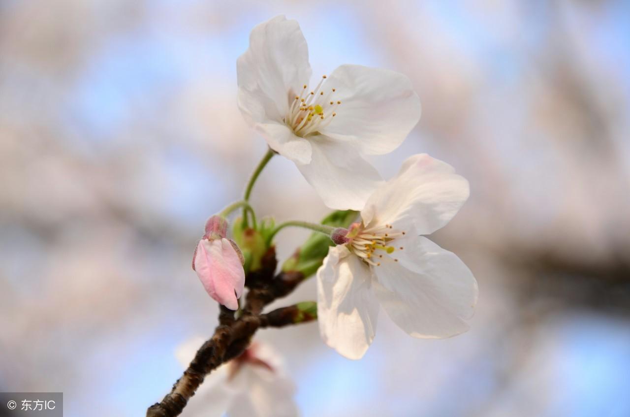 伤感短句八字文案(生活处处是坎坷的文案)