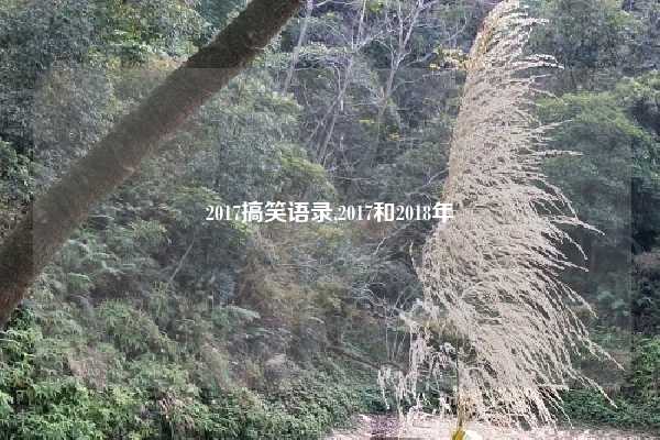 2017搞笑语录,2017和2018年