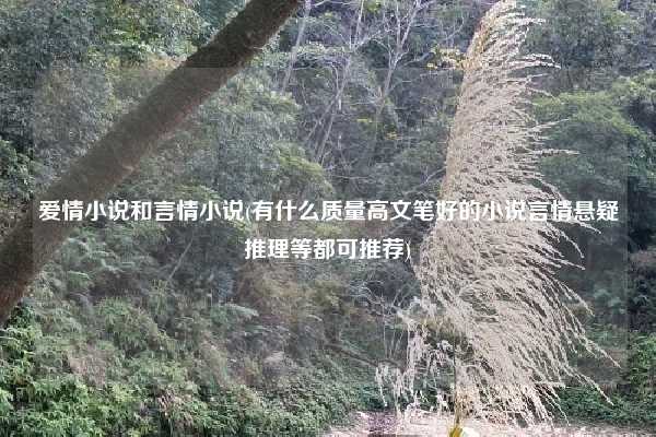 爱情小说和言情小说(有什么质量高文笔好的小说言情悬疑推理等都可推荐)