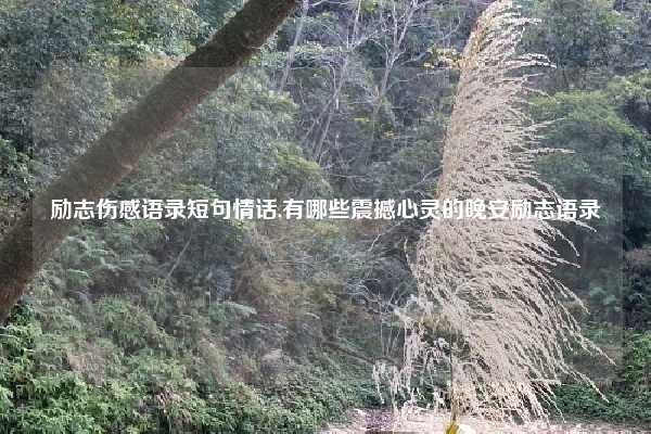 励志伤感语录短句情话,有哪些震撼心灵的晚安励志语录
