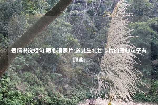 爱情说说短句 暖心语照片(送女生礼物卡片的暖心句子有哪些)