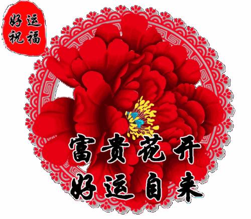 2023年微信头像最吉利好运图片(大学生图像采集特征码是什么)