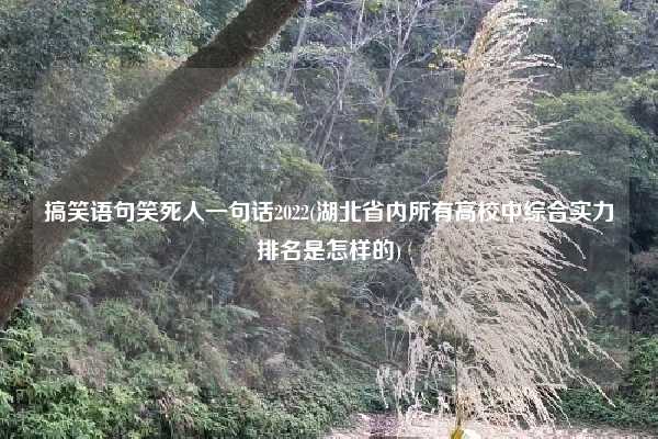 搞笑语句笑死人一句话2022(湖北省内所有高校中综合实力排名是怎样的)