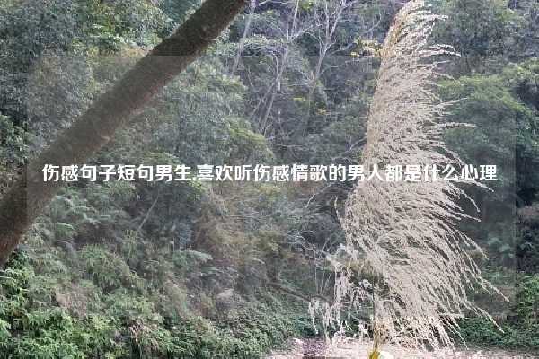 伤感句子短句男生,喜欢听伤感情歌的男人都是什么心理