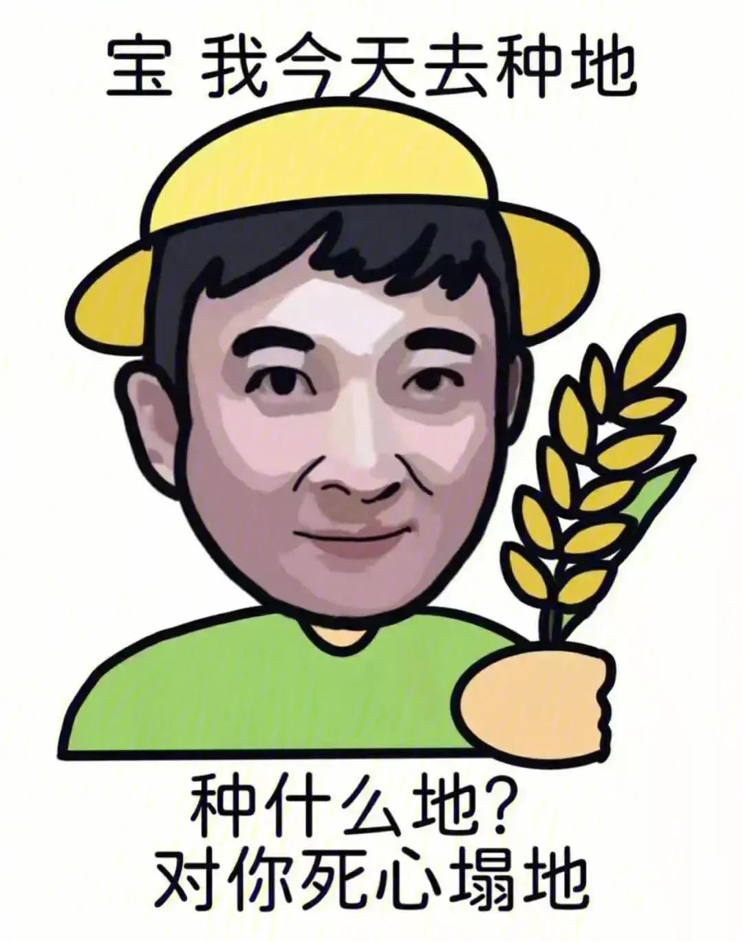 土味情话文案(高手的土味情话)