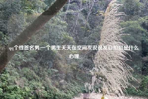 qq个性签名男,一个男生天天在空间发说说发自拍照是什么心理