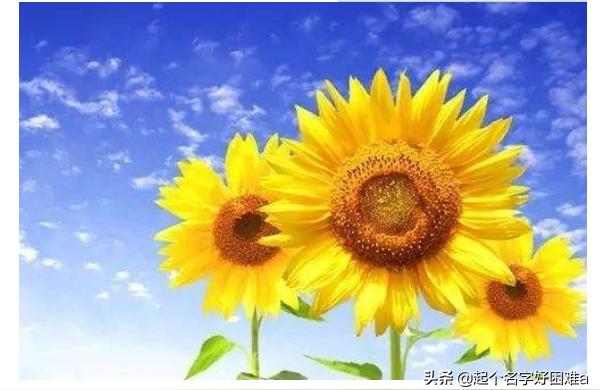 个性签名励志青春阳光(励志签名短句干净)