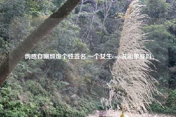 伤感自嘲颓废个性签名,一个女生emo说明单身吗