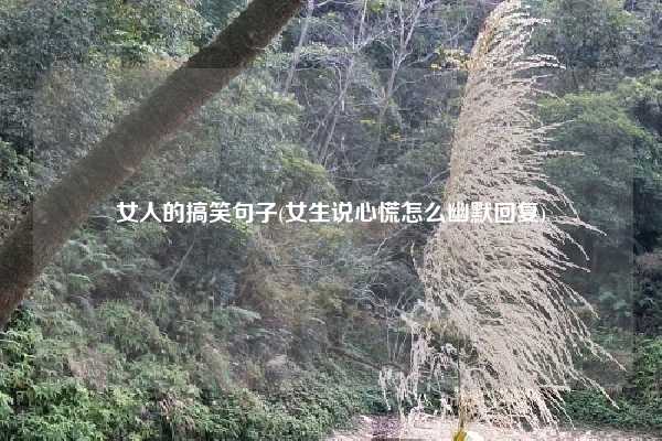 女人的搞笑句子(女生说心慌怎么幽默回复)