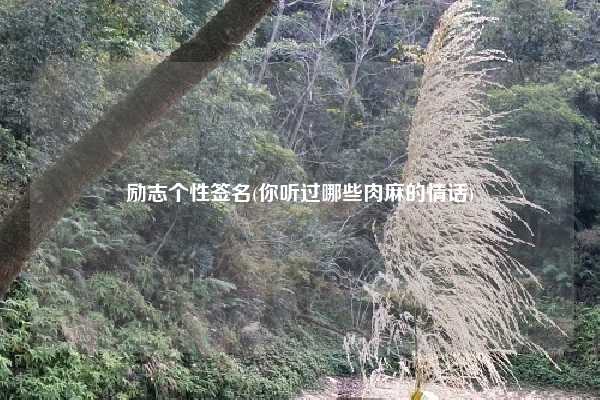 励志个性签名(你听过哪些肉麻的情话)