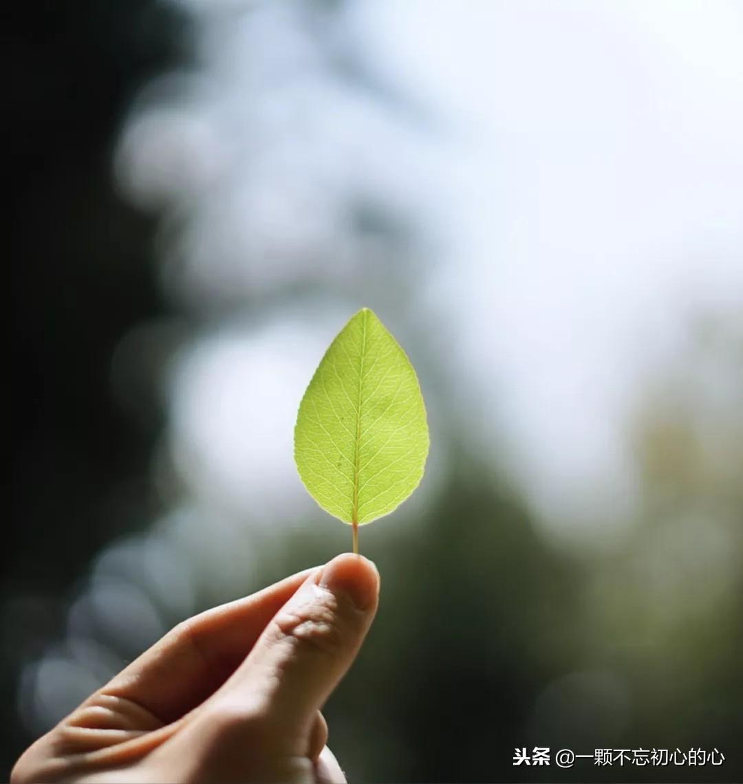 心烦心累心情不好(表面上那么的快乐)