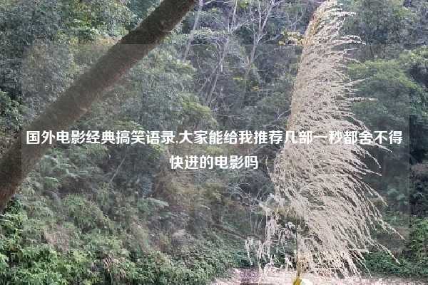 国外电影经典搞笑语录,大家能给我推荐几部一秒都舍不得快进的电影吗