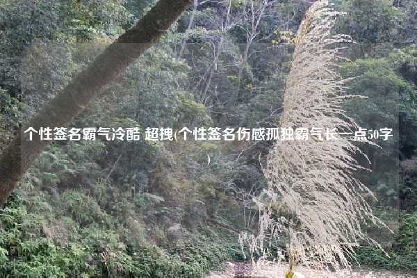 个性签名霸气冷酷 超拽(个性签名伤感孤独霸气长一点50字)