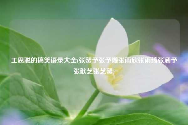 王思聪的搞笑语录大全(张馨予张予曦张雨欣张雨绮张涵予张歆艺张艺馨)