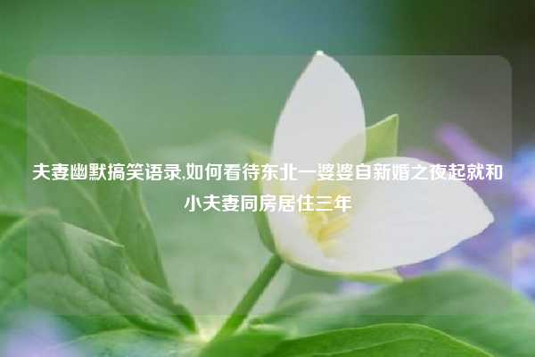 夫妻幽默搞笑语录,如何看待东北一婆婆自新婚之夜起就和小夫妻同房居住三年